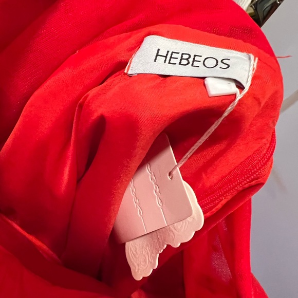 Custom Red Swiss Dot Tulle Corset Bustier Tea Length Gown - Picture 6 of 11